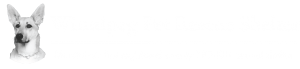 Winnipeg Pet Rescue Shelter
