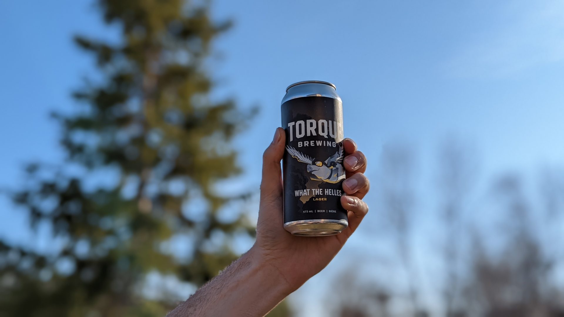 torque brewing beer what the helles lager